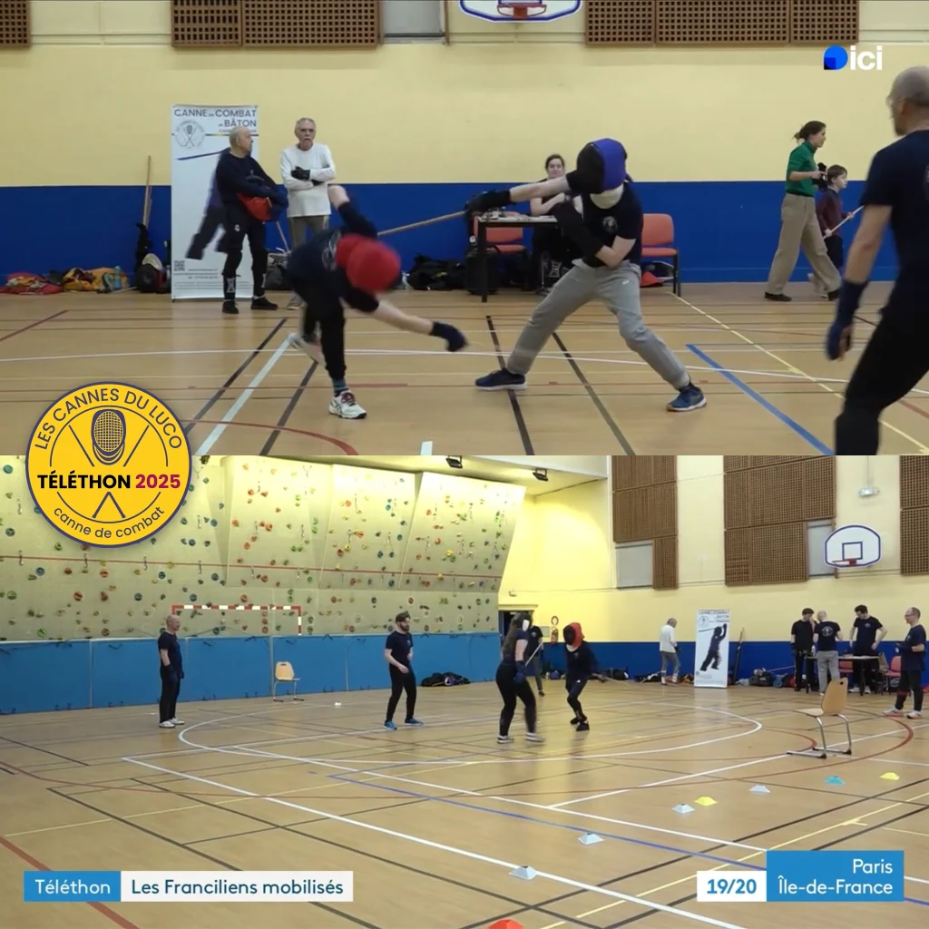 Téléthon 2025 , France 3 TV