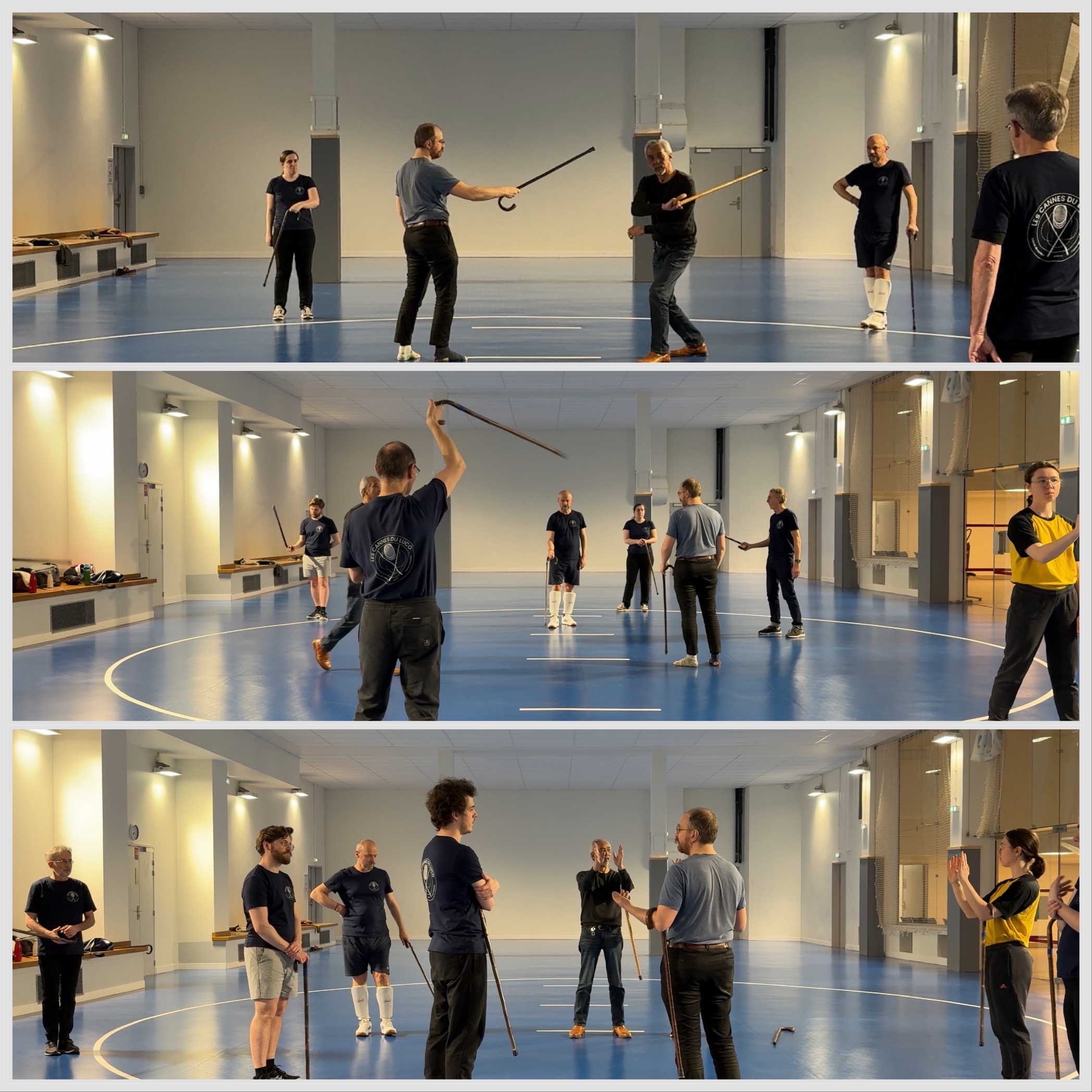 TAO GA _ canne courbe