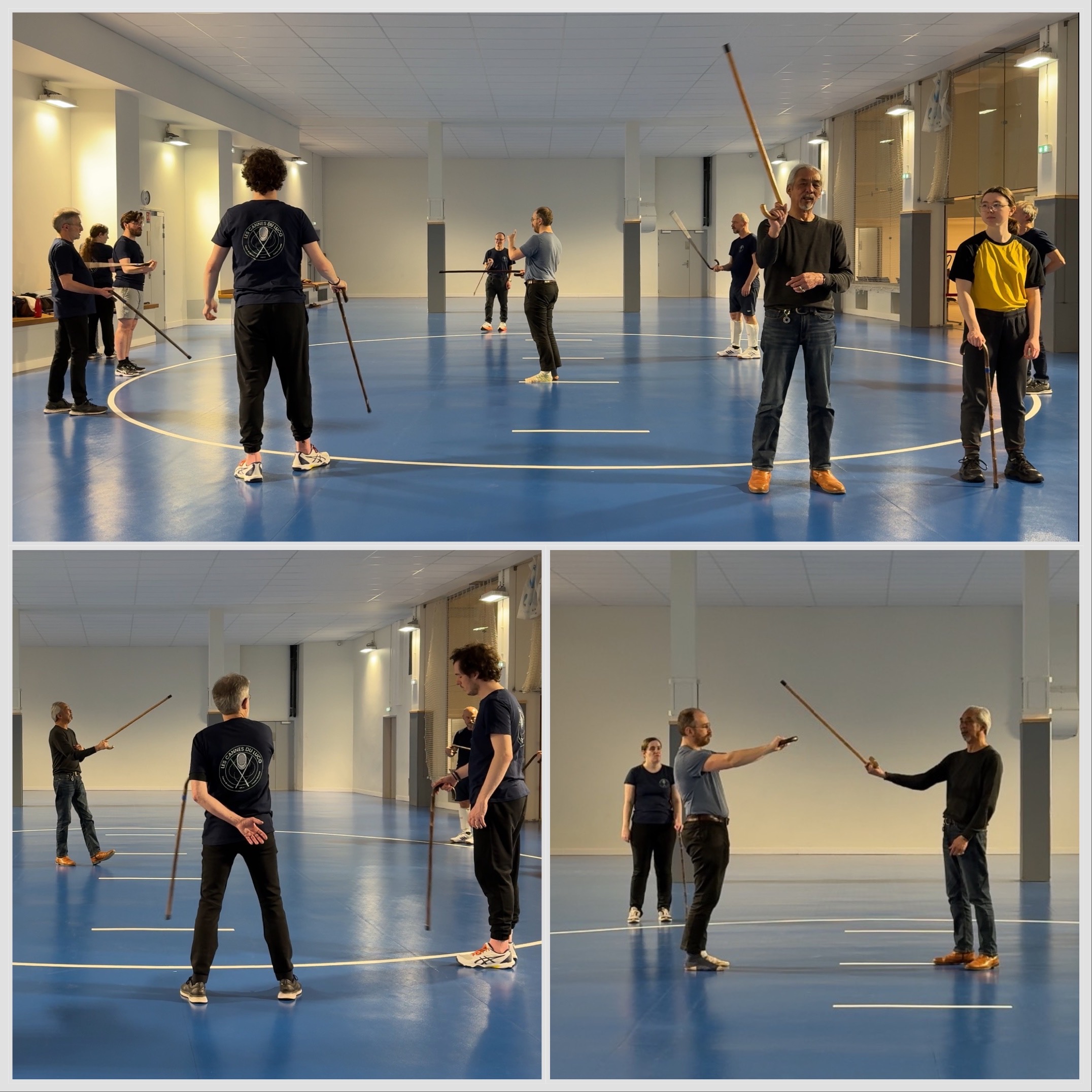 TAO GA - canne-courbe