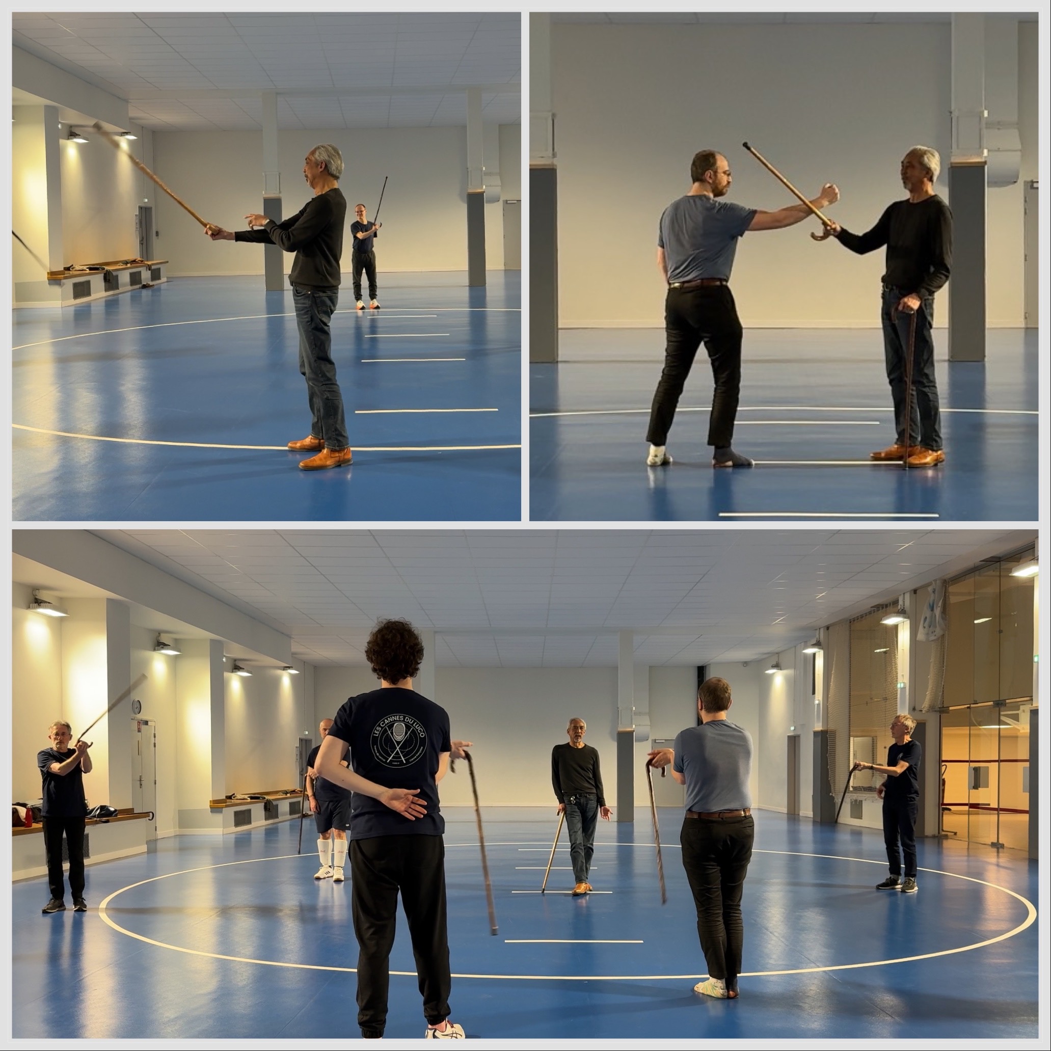 TAO GA - canne courbe